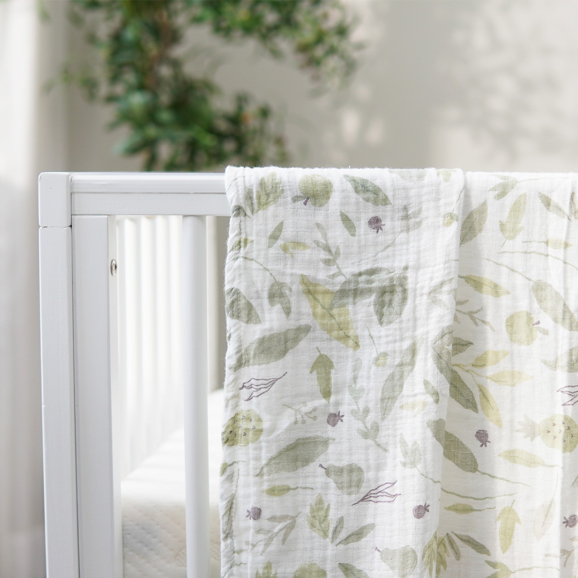 Combo 4: Baby Vui Khỏe